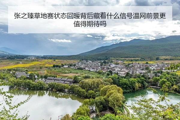 张之臻草地赛状态回暖背后藏着什么信号温网前景更值得期待吗